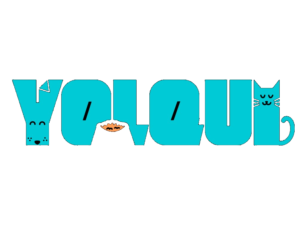 Yolqui