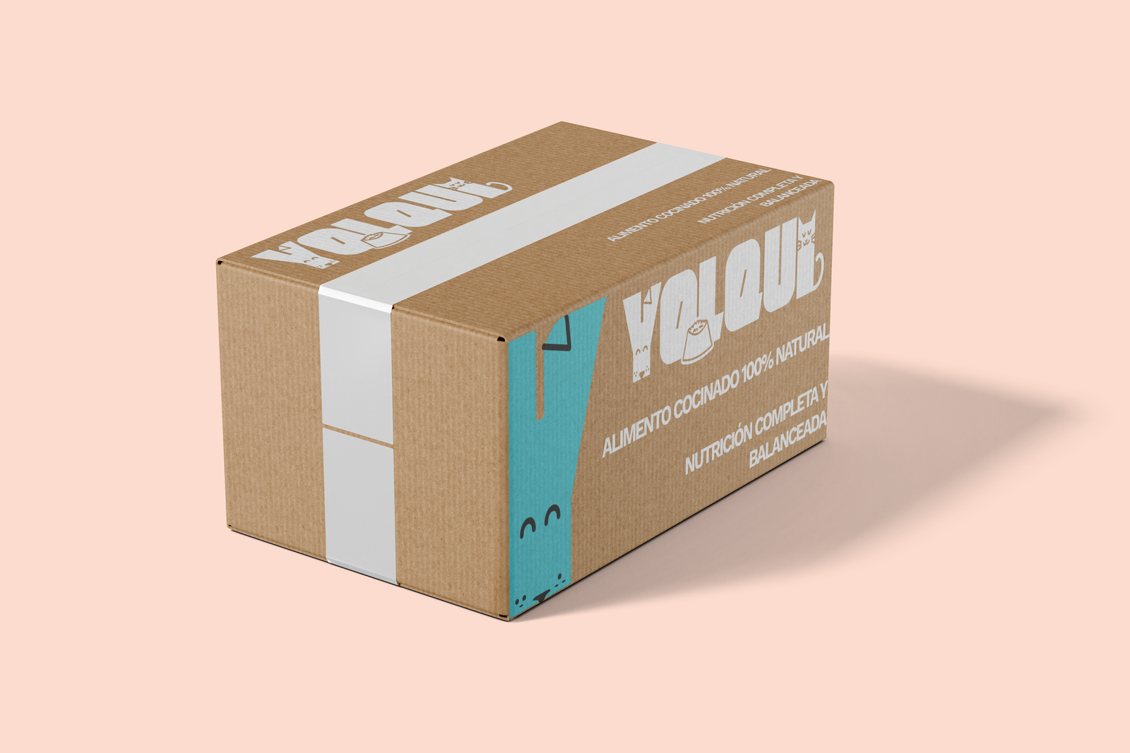 Caja Yolqui